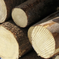 Applications - Pulp and Paper